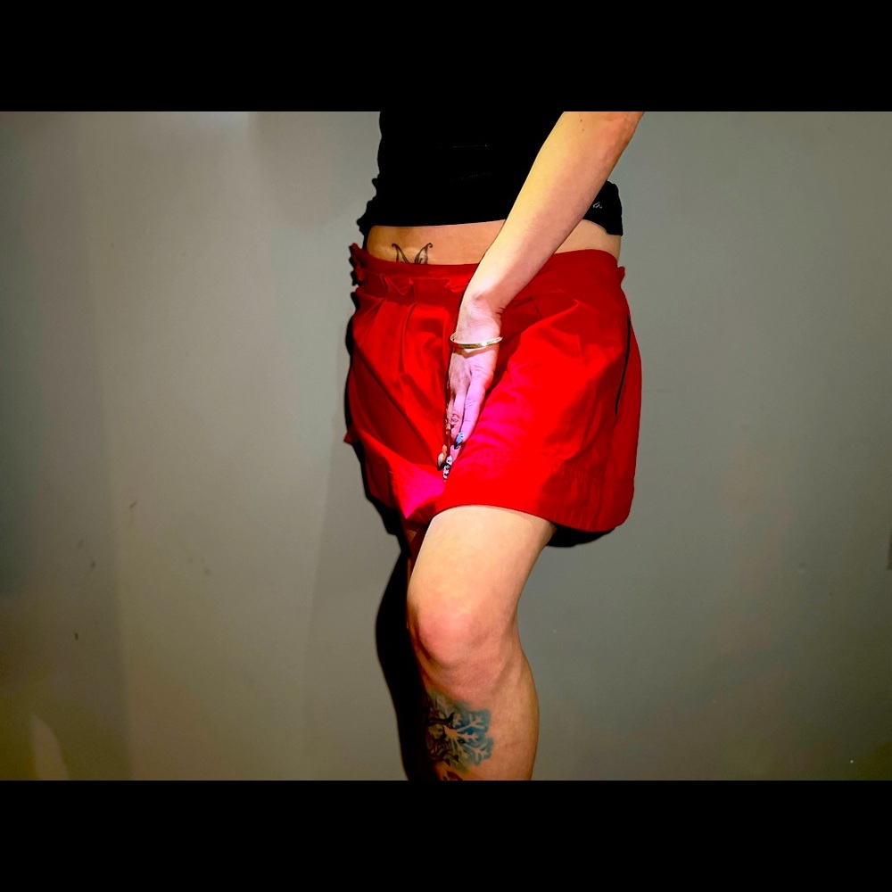 Express red short skirt with pockets , zipper backing, stylish, with accents